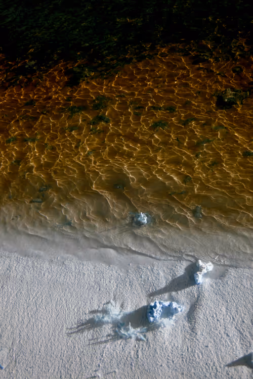 Item #84630877256389803822544637333020280854396826404545033634090050523457575190529 Media