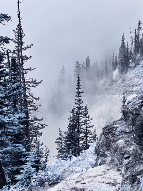 Item #62001089897654043678582796294711651900724303774679820814799839855463458930689 Media