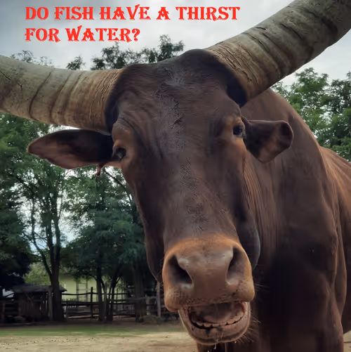 Item #51313302132644519913343847646347811445510524411913136629935896326594612953089 Media