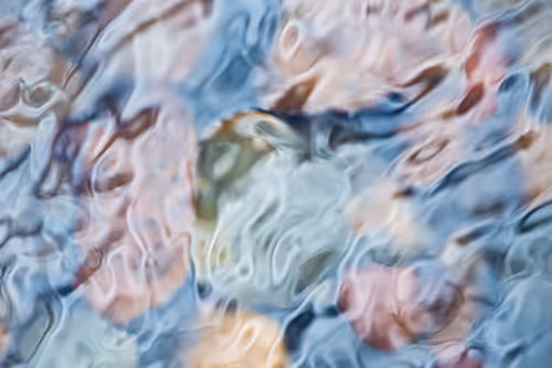 Item #81441334517361708208394031135700195474624799851237506988747108027170365112321 Media