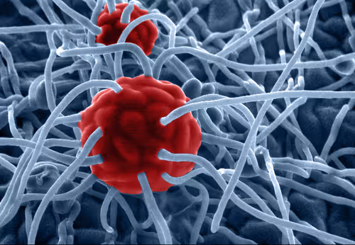 Item #115505927728344181025262329658899620468765138243295584093365708386905171689473 Media