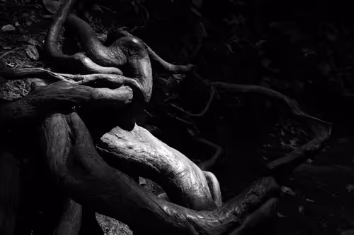 Item #82666956697073059935250471949023285858624698901330742305278420775605345714177 Media