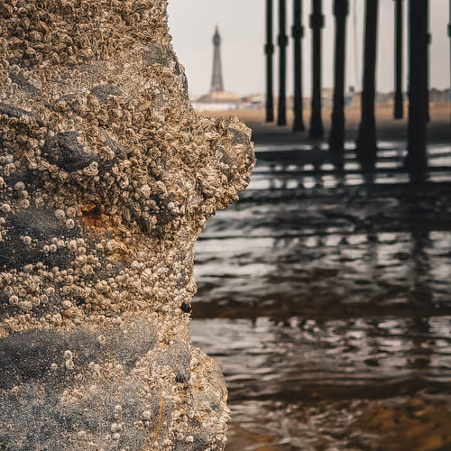 Through the Pier