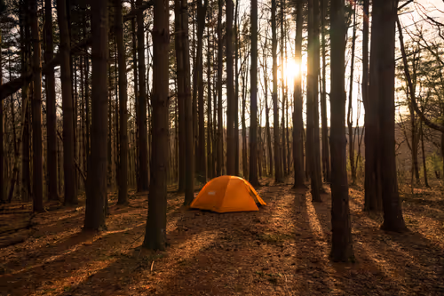 Item #27268559498061748325784621046965527840934976554079147599746578501243001372673 Media