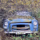 Patina - Chasing Rust