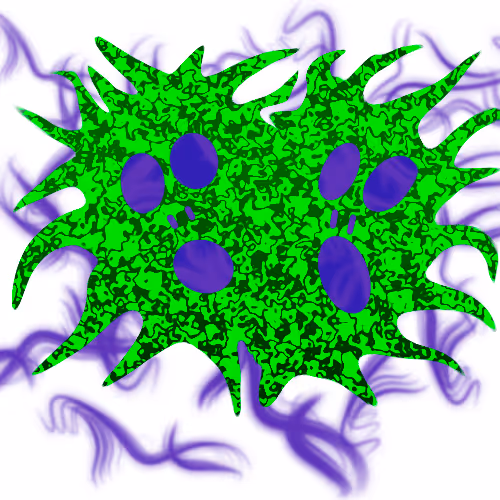 Item #114724191672392125151803275075343312576272679154232568717131494372317337747457 Media