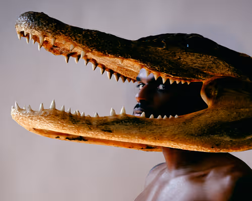 Item #10265671648122468476873680655396214649618748606022625962118217571793650057217 Media