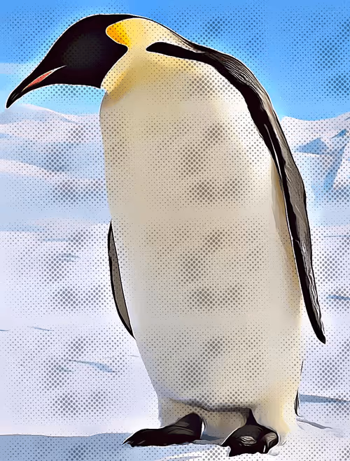 Item #87832029613577301948440201724316869266320892884719152945259080227990473277441 Media