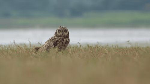 Item #102561797867931923211566826687344037495511031349577863816331597004753619386369 Media