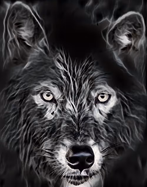 Item #22623297383426892917101335270761698949847758593200202890070986097242687930369 Media