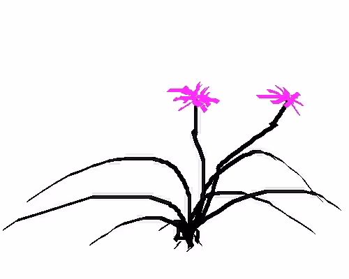 Item #43785656753850615779848656770283177035094689254903641069554512427766838722561 Media