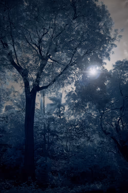 Item #84630877256389803822544637333020280854396826404545033634090050539950249607169 Media