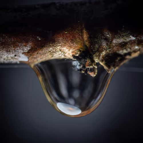 Item #59259199848972023857732761646304634361280699770576024418514166894873469255681 Media