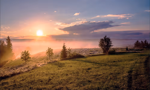 Item #29615729682962339557605714767270267288884638839550874150692962565707456839681 Media