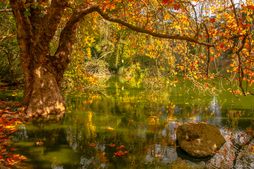 Item #82666956697073059935250471949023285858624698901330742305278420790998508503041 Media