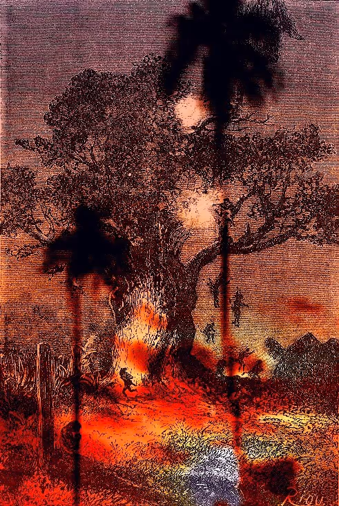 Item #16587184530242839710052864403997558842450579740092040894761418646819405037569 Media