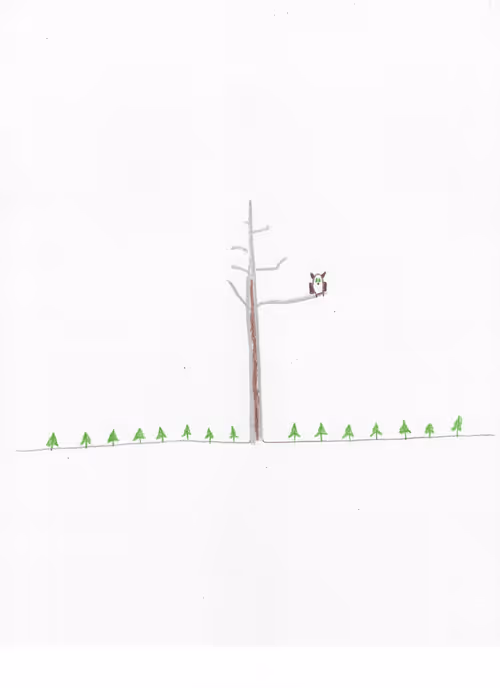 Item #23218060550821745609800623272602319113326301581644647180881602203126830465025 Media