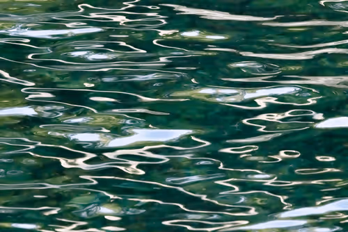 Item #81441334517361708208394031135700195474624799851237506988747108126126411612161 Media