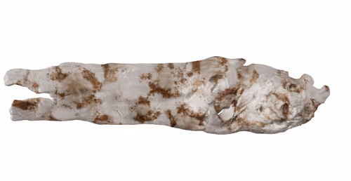 Item #22900232604420011537493696971111842688534829566160071035010649918341921112065 Media