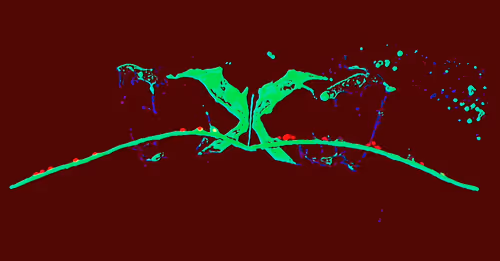 Item #88178403044767415627587356713480527064190058528292718512072958274417792647169 Media