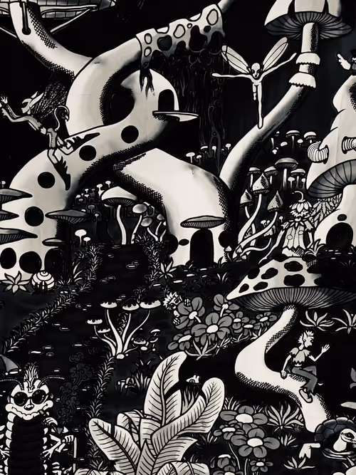 Item #30740302589079776519759082537500895011913059495583463667508883385757504372737 Media