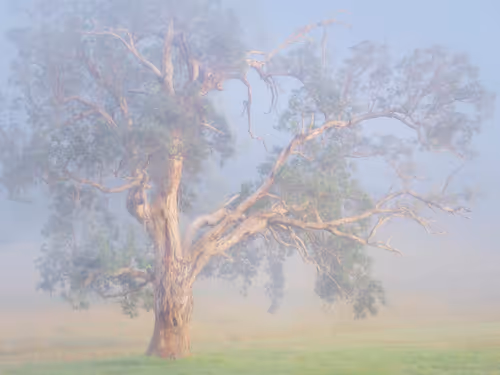 Item #112241139933589088795661151874445265147488650533013612432304602910026872389633 Media