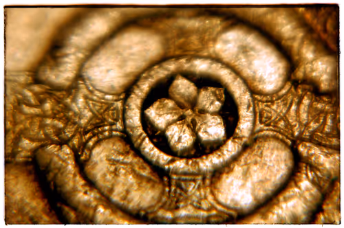 Item #69162624818893476726320652115504039379627805046684483177886999812447181733889 Media