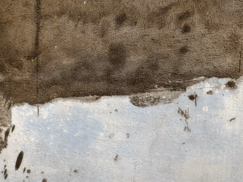 Item #77837778009088564188174628045169397065653229955612462896383264963728496394241 Media