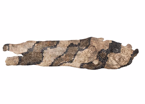 Item #22900232604420011537493696971111842688534829566160071035010649922739967623169 Media