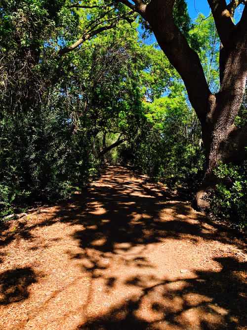 Item #92878865255826321536132190645537413346601958767864056232654340021070268989441 Media