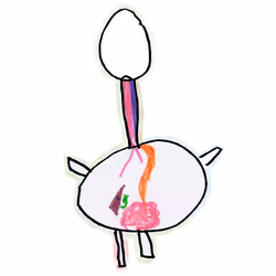 #05 Digestive System