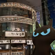 KAMATA CAT