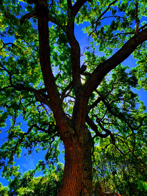 Item #92878865255826321536132190645537413346601958767864056232654340018871245733889 Media