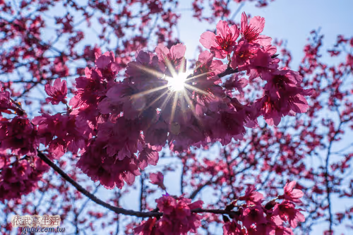 Item #100744422725674417057824683306763013505668843176654858816283483919737885294593 Media