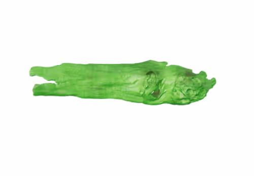 Item #22900232604420011537493696971111842688534829566160071035010649904048269950977 Media