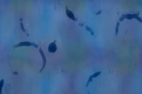 Item #23953230745994406582939997092897091351371610828269103110916008738234820460545 Media