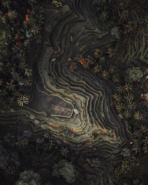 Item #86385672013831146465548650078662187187055141490040132723525304185261440106497 Media