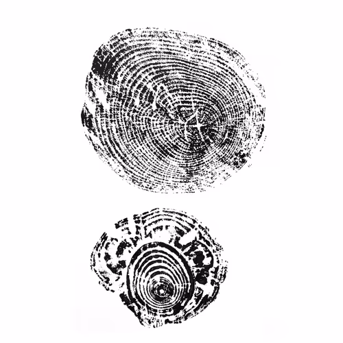 44408188301898263059280005630017205616711493273710408978037287771845565612033