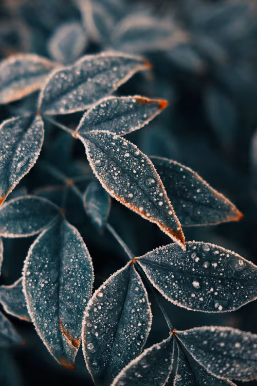 Item #103066555971611021134149055345018438449666255846358212838134356838889688137729 Media