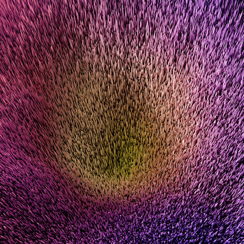 87855534987201374925371944818297600221317149567981150322417554458301419225089