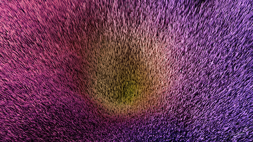 Item #87855534987201374925371944818297600221317149567981150322417554458301419225089 Media