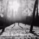 Raw Vision - A Collection of Photography by Chris Kee