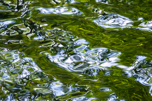 Item #81441334517361708208394031135700195474624799851237506988747108010677690695681 Media