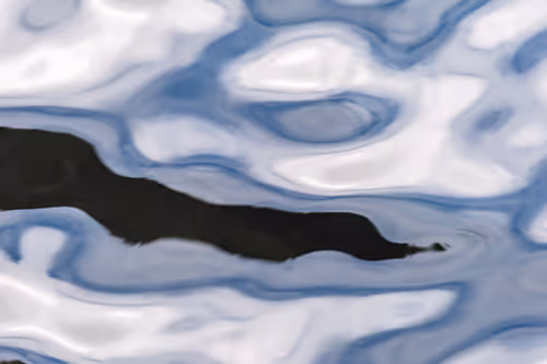 Item #81441334517361708208394031135700195474624799851237506988747107963398690701313 Media