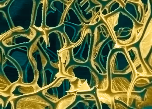 Item #115505927728344181025262329658899620468765138243295584093365708437482706567169 Media