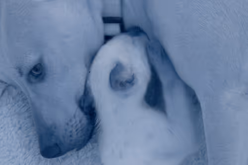 Item #84630877256389803822544637333020280854396826404545033634090050561940482162689 Media