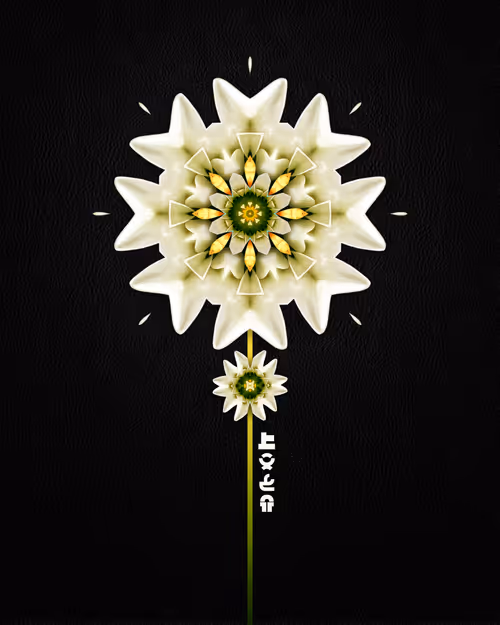 Item #39579845202103003613433969065529984939294887442875588777262424389080269717505 Media