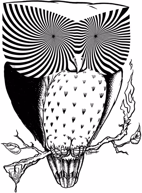 Item #46308592936825769109644823769625478364768345526245600070066391390470195380225 Media