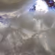 101722242459461766671850244672997948412133570446471513908012687118714475118593
