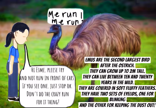 Item #67013055582839340258181358696372331794906403894798308021420211915317277884417 Media